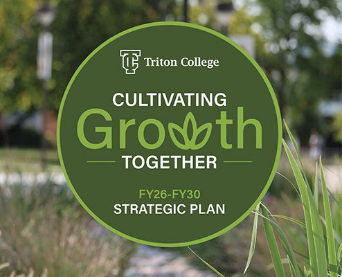 Strategic Plan Logo