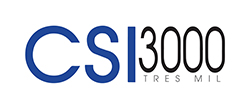 CSI 300 Logo