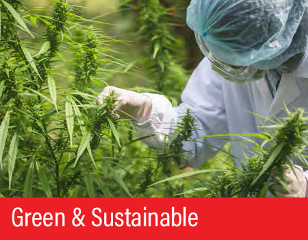 Green & Sustainable