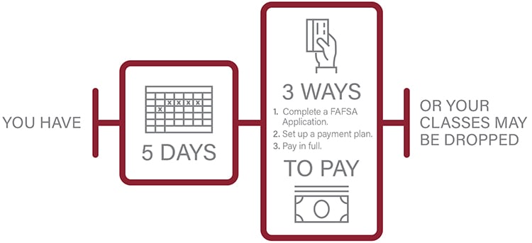 3 Ways to Pay