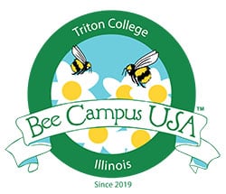 Bee Campus Logo