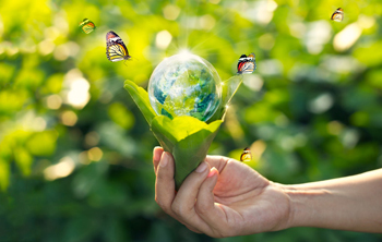 Sustainability Resources Sustainability Resources