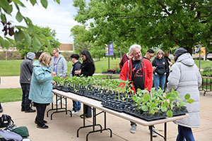 Photo of employees looking at a table with plants