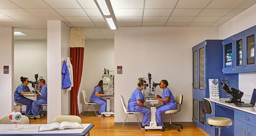 Optician Optician